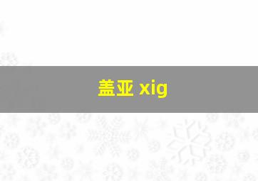 盖亚 xig